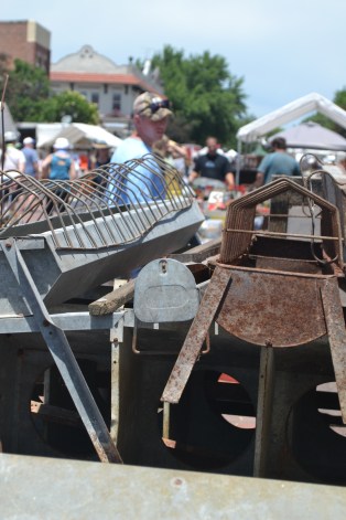 Iowa Sheep &amp; Walnut 929